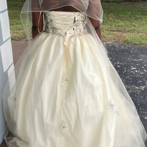 ✨ Fairytale Floral Gown | Bridgerton-Inspired | Size XL ✨ - Picture 4 of 5